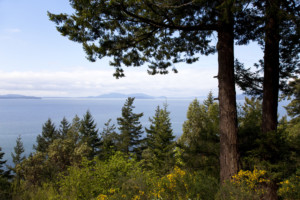 What is Bellingham, WA Known For? 10 Things to Love About This City