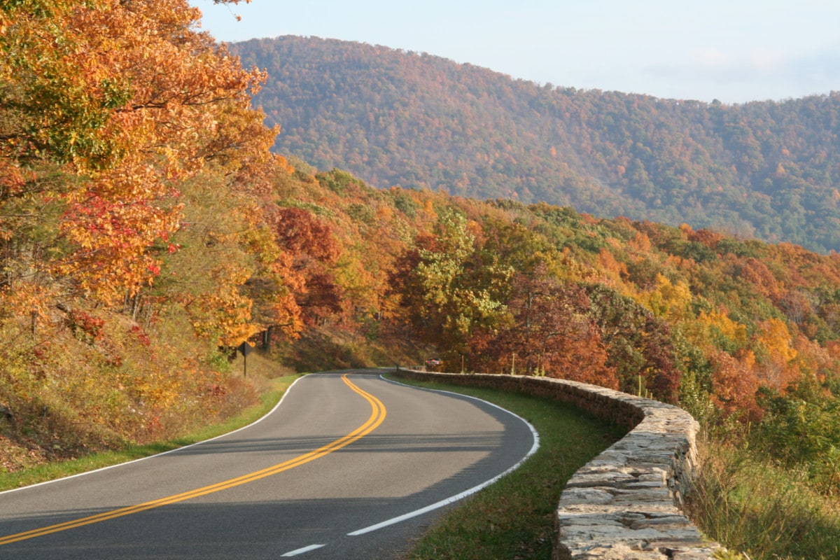 Winding road in Shenandoah National Park in Virginia
