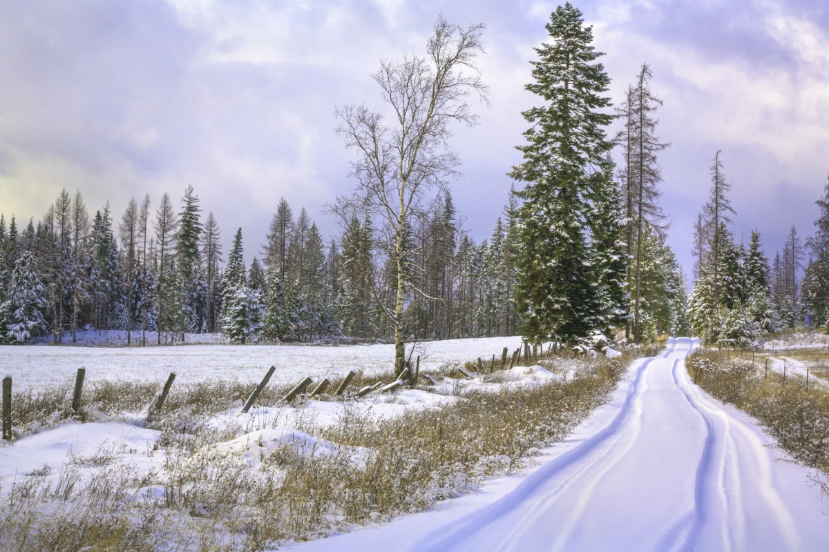 snowy country lane in rural Northern Idaho