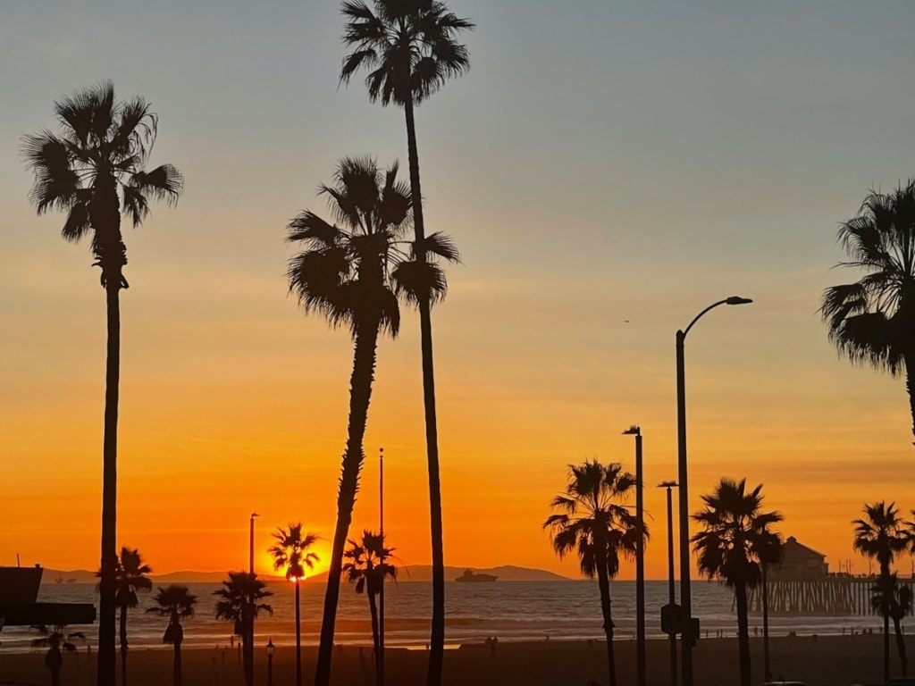 sunset in orange county with palm trees in the foreground