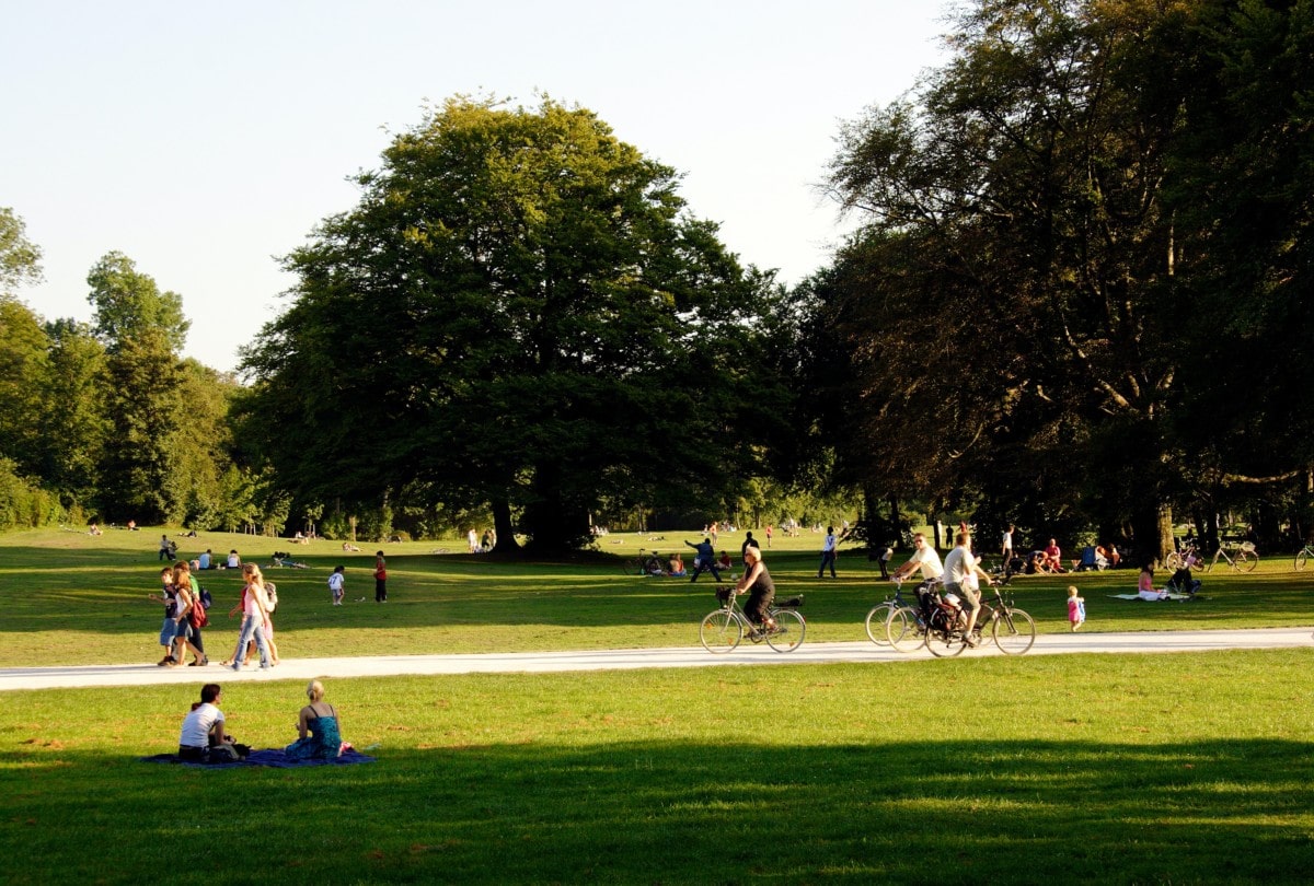 Park with large trees and open green space