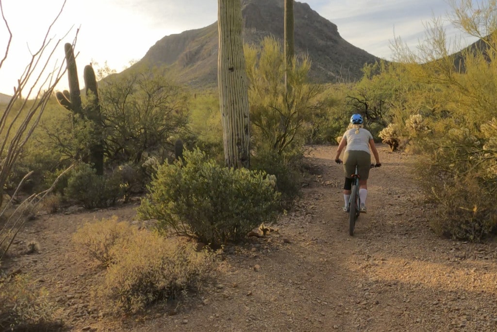 Female mountain biker follows trail, in desert