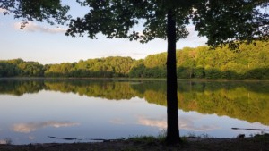 lake in silver spring maryland with trees