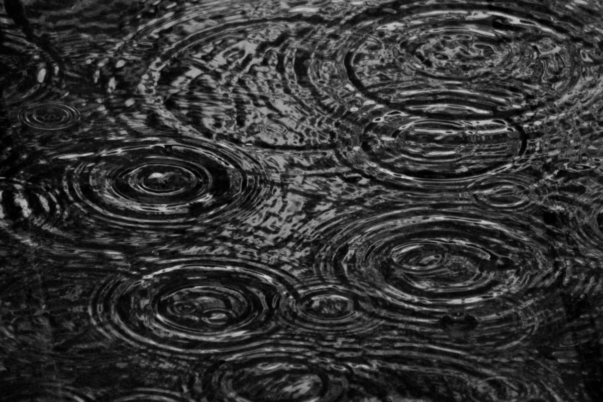raindrops in a puddle