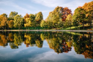 7 Popular Parks in Plymouth, MN That Locals Love