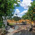 backyard with fruit trees
