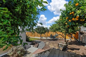 backyard with effect   trees