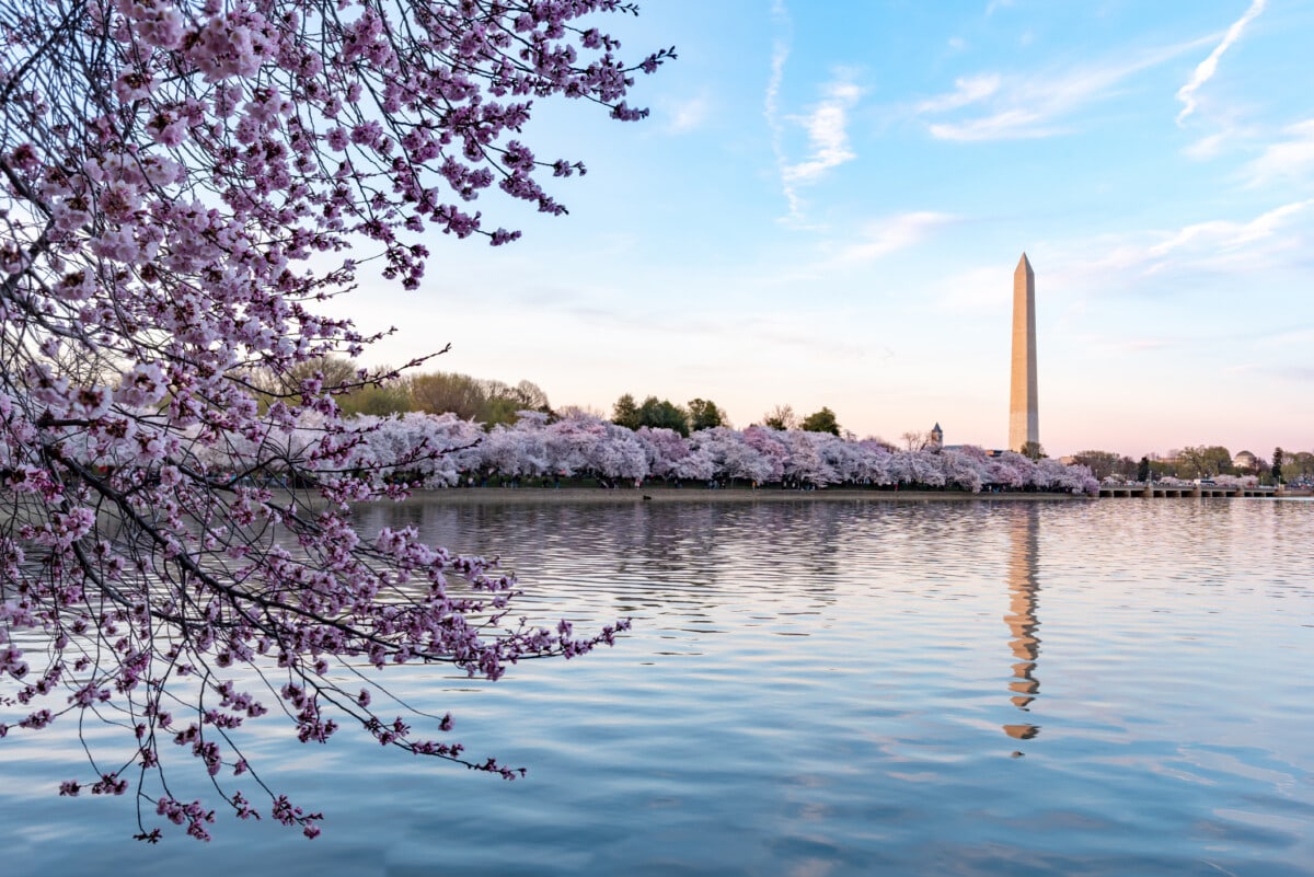 The Ultimate Washington, DC Bucket List: 25 Things to Cross off Your List