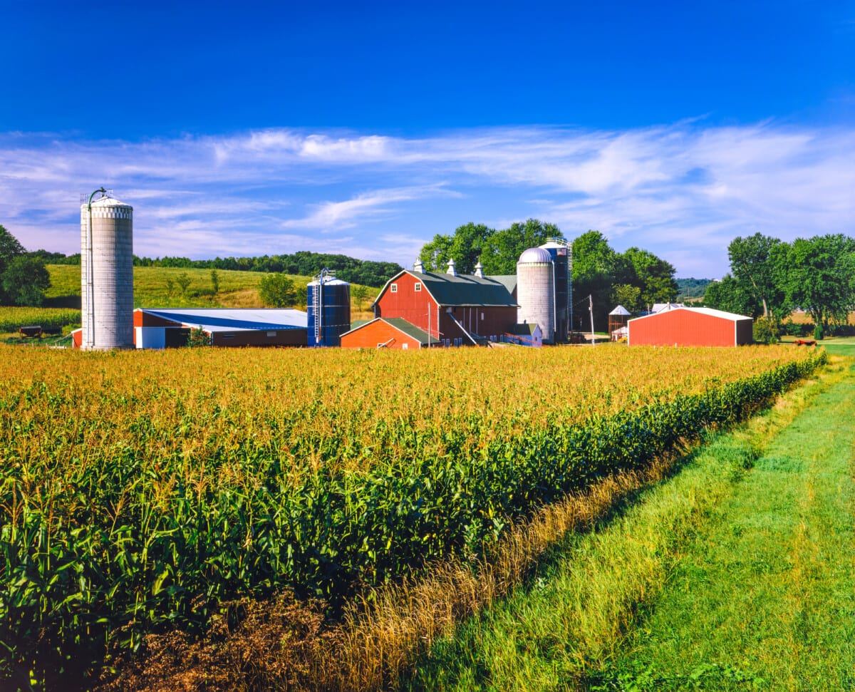 iowa farm with corn fields and barns_Getty
