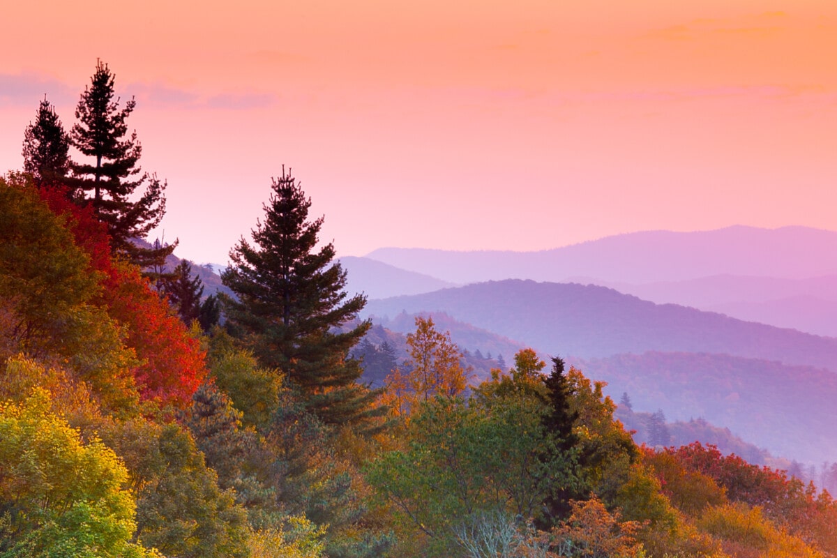 views of mountains and autumn trees in tennessee_Getty
