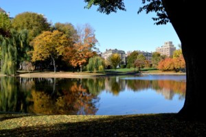 7 Popular Parks in Cambridge, MA That Locals Love