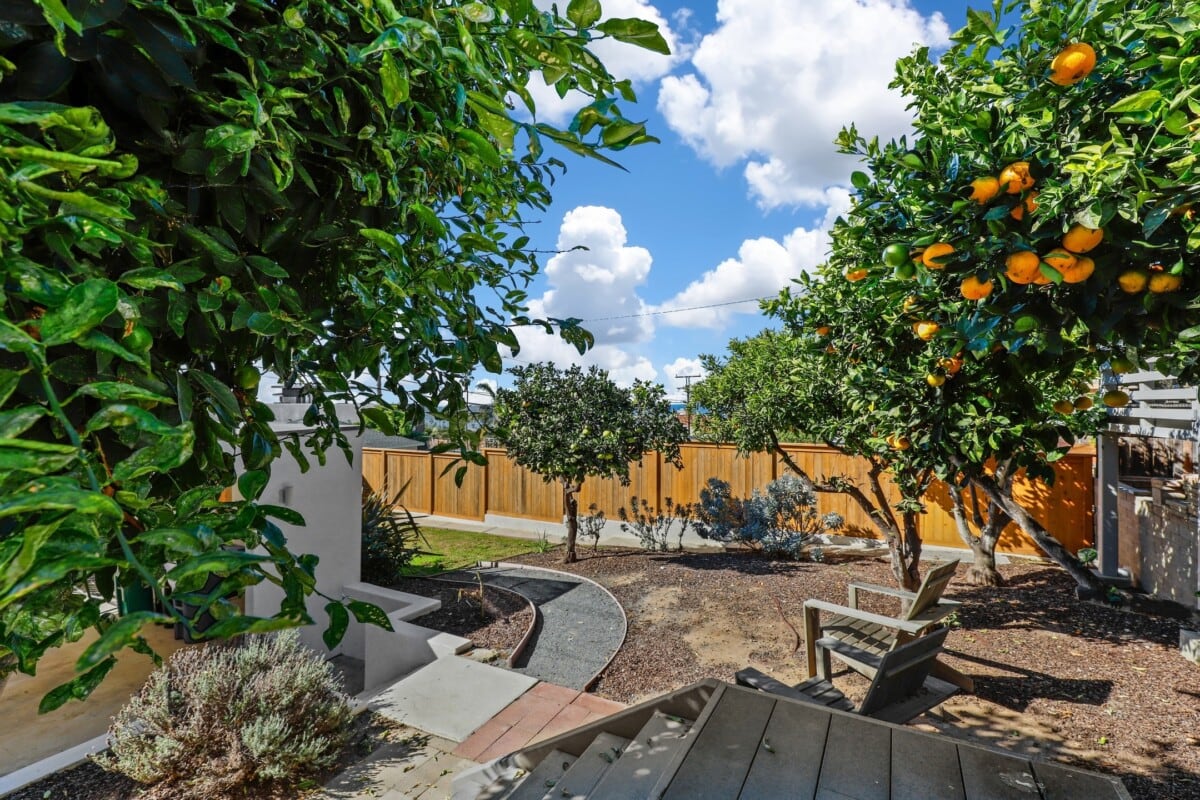orange trees a seattle remodeling trend