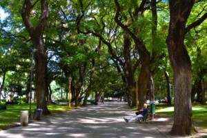 7 Popular Parks in Santa Clara, CA That Locals Love