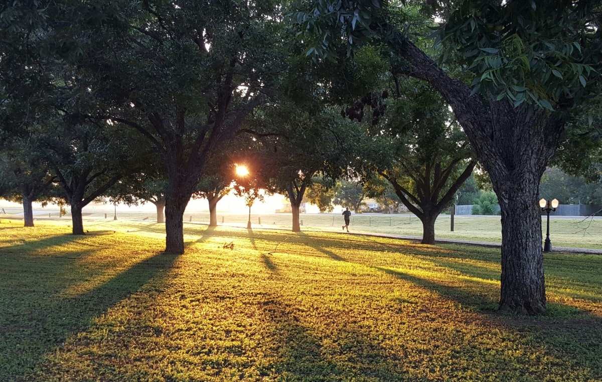 park at dusk