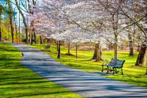 5 Popular Parks in Garden Grove, CA That Locals Love