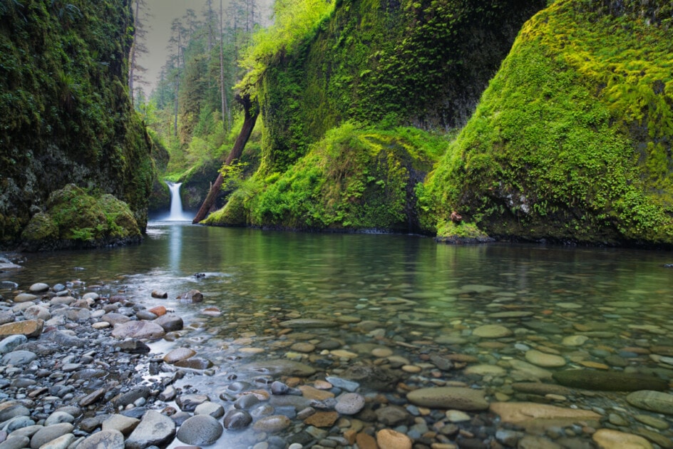 Punch Bowl Falls and Greenery on Eagle Creek