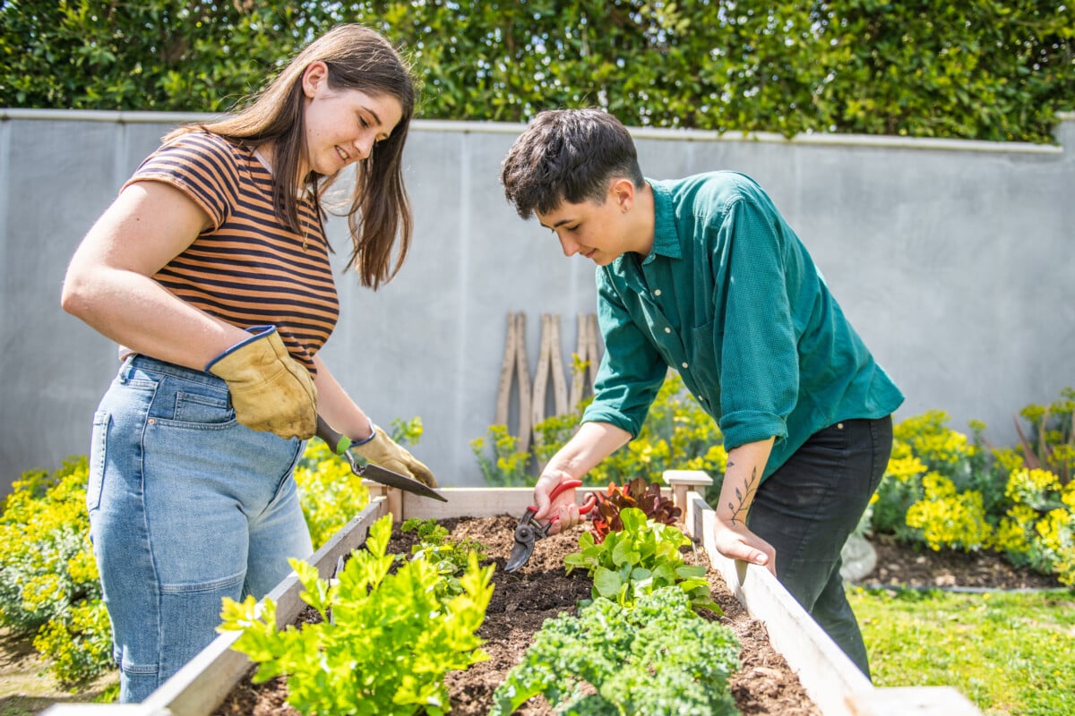 couple planting a vegetable garden in their backyard on a sunny day _ getty 