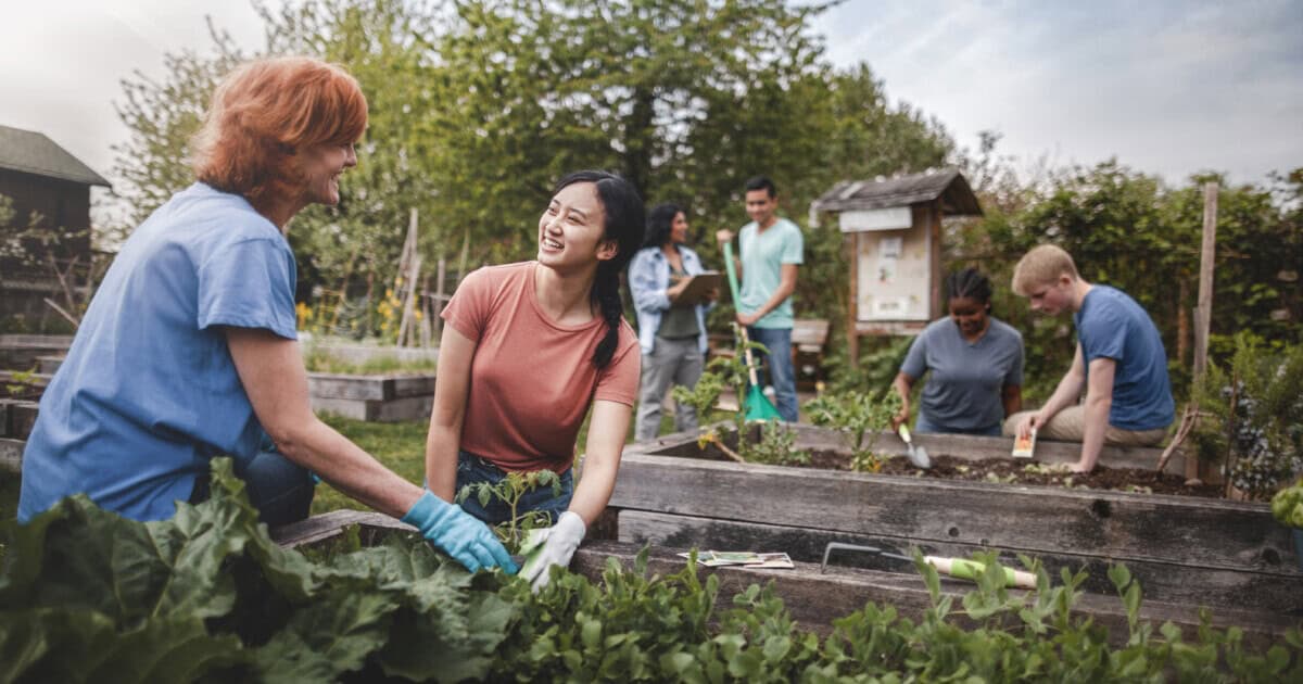group of young men and young women gather as volunteers to plant vegetables in community garden _ getty