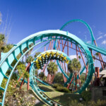 roller coaster in florida