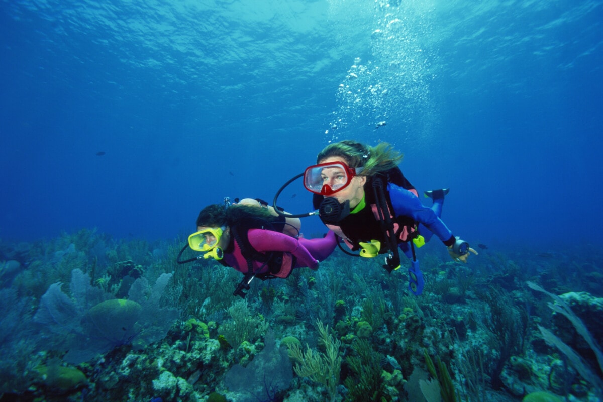 Divers in shallow reefs 
