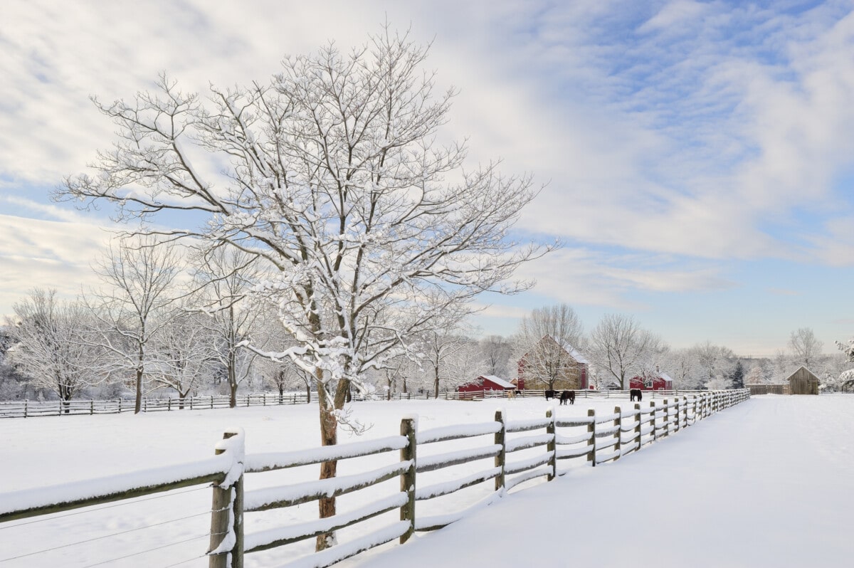 Farm Scenic in Winter