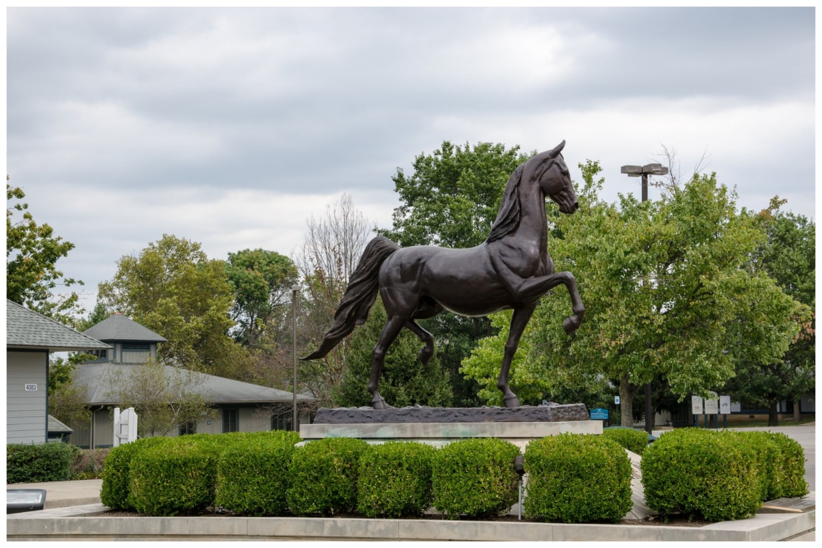 Lexington horse