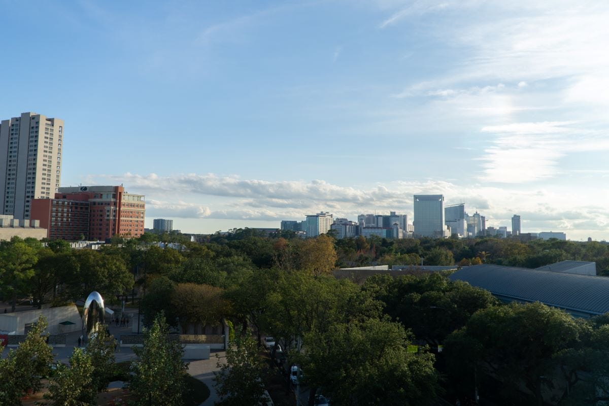 rooftop view of houston