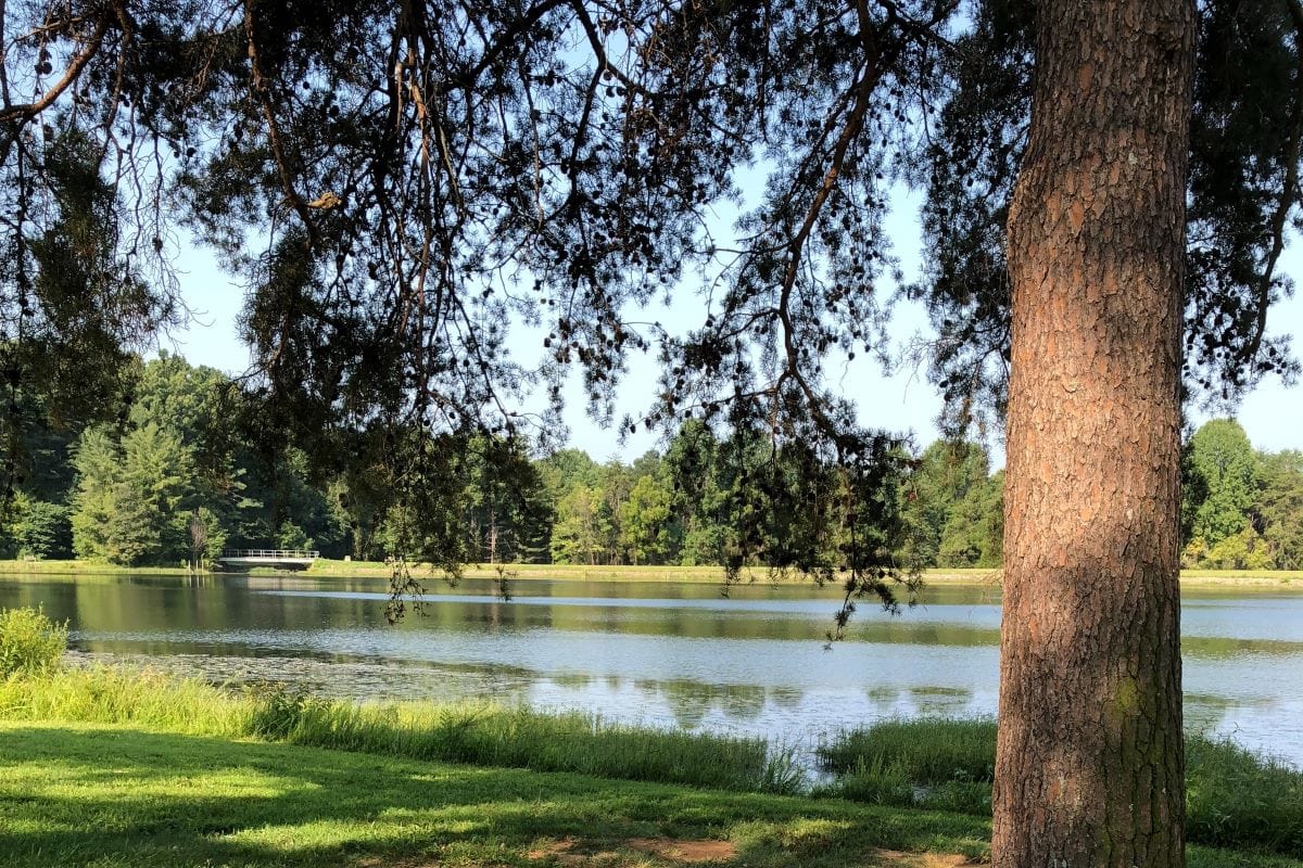 bernheim arboretum successful  louisville