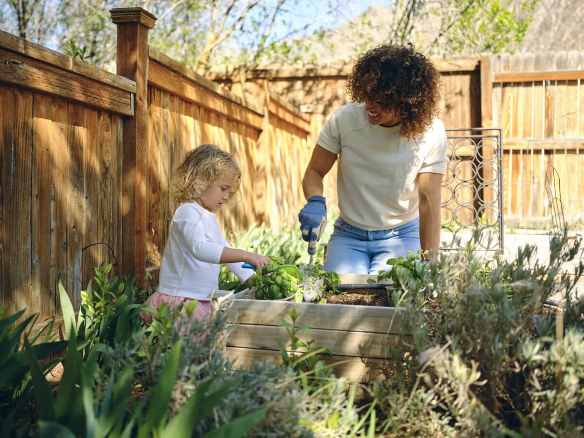 Landscape Design In Mansfield, Ga