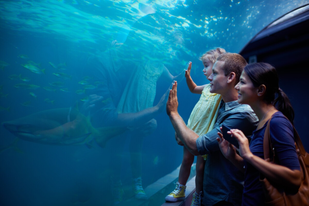Photo of a young family enjoying a day at the aquarium.