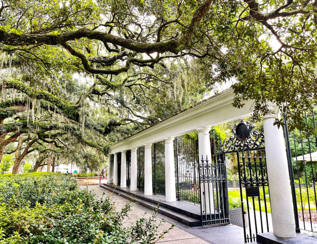 trees over column statue in Forsyth Park