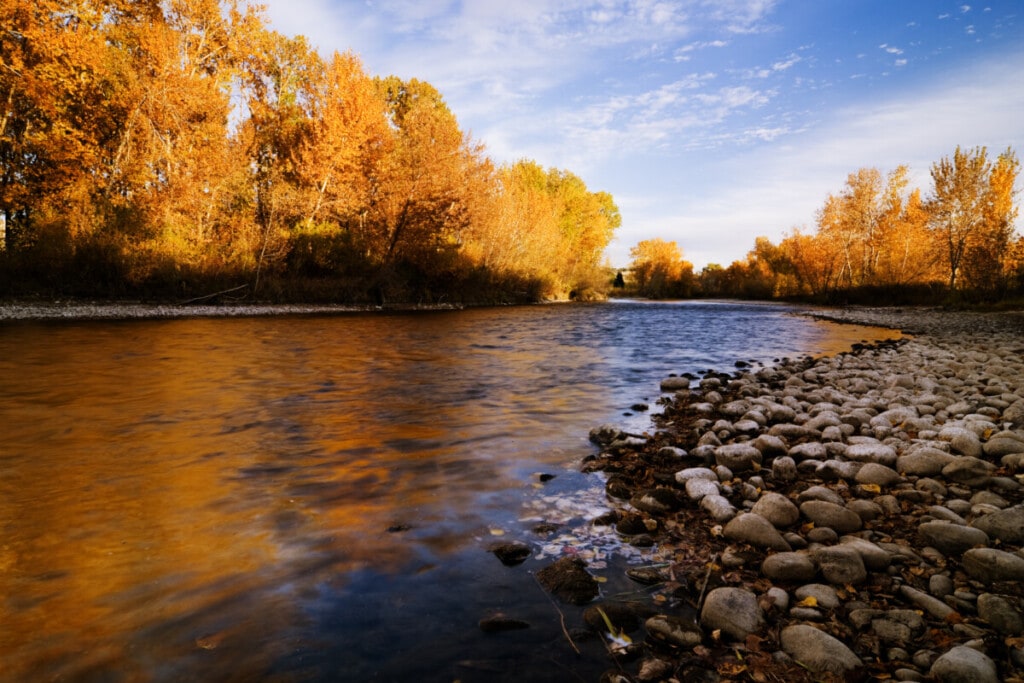 boise river during autumn in boise idaho - Getty
