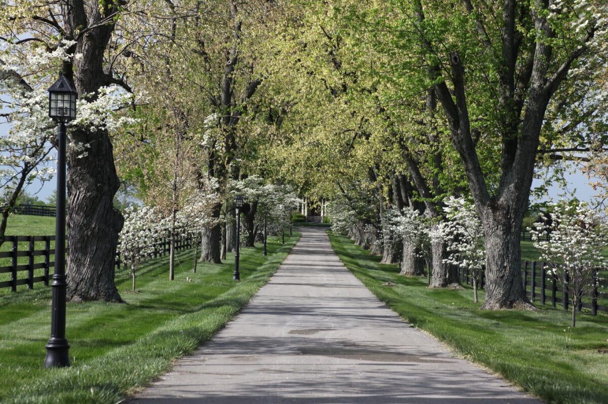 Beautiful entrance to a Kentucky Bluegrass Horse Farm