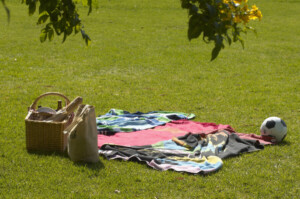 Picnic, blanket and football on grass