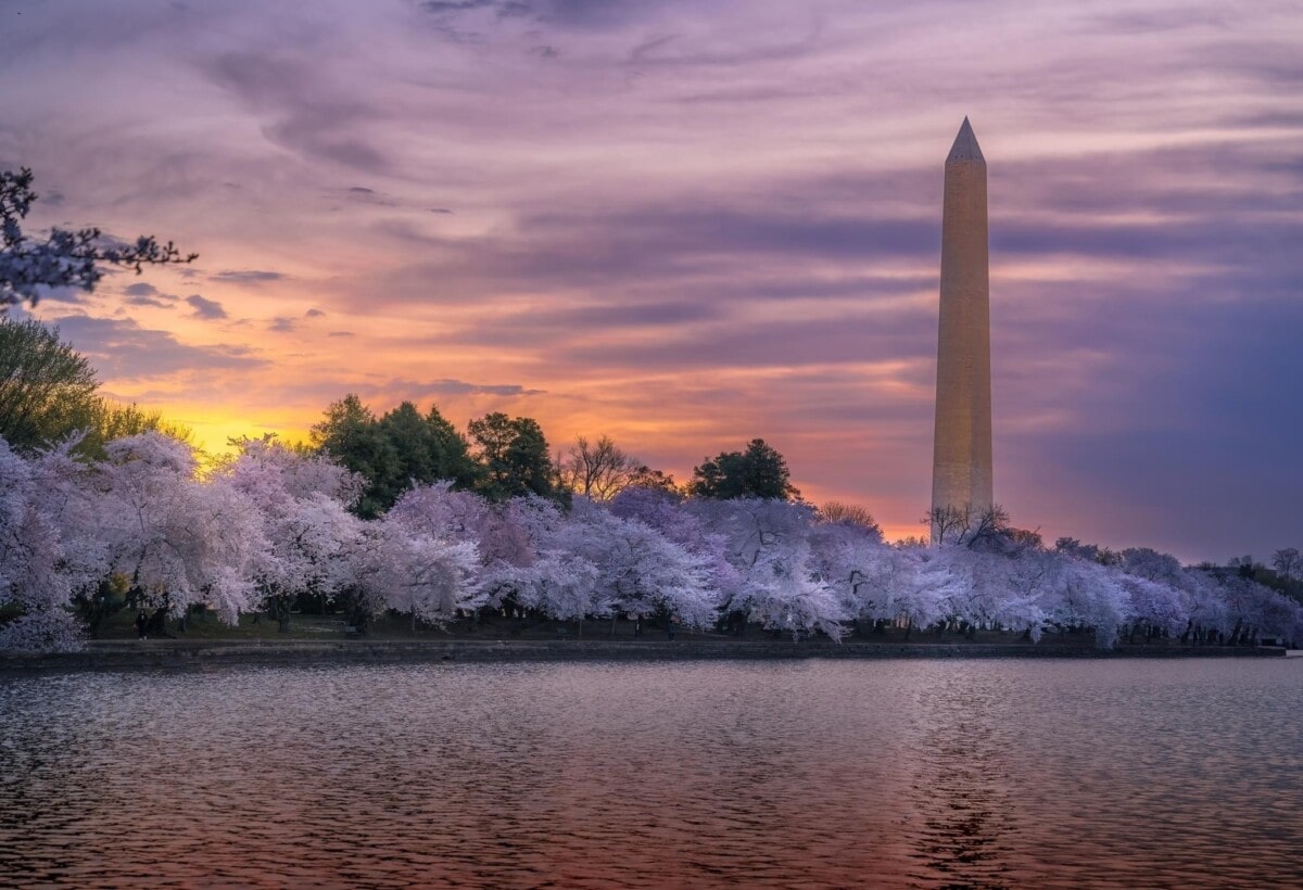 20 Beautiful Places to Visit in Washington, DC | Redfin