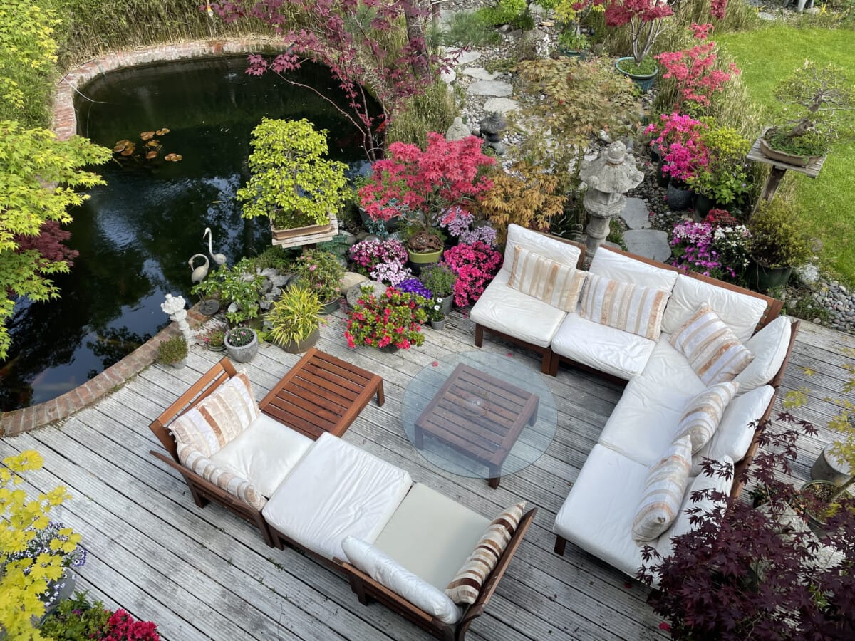 10 Considerations When Building a Backyard Koi Pond