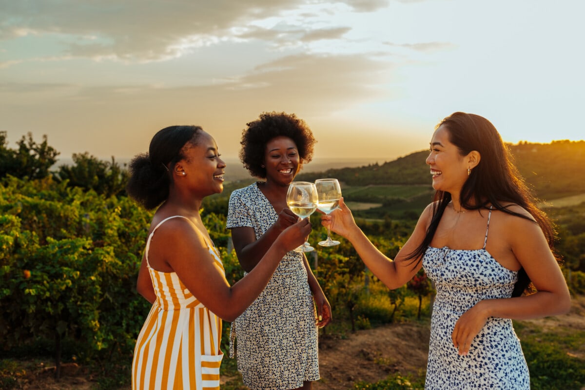 Group of women toasting wine at outdoor party.