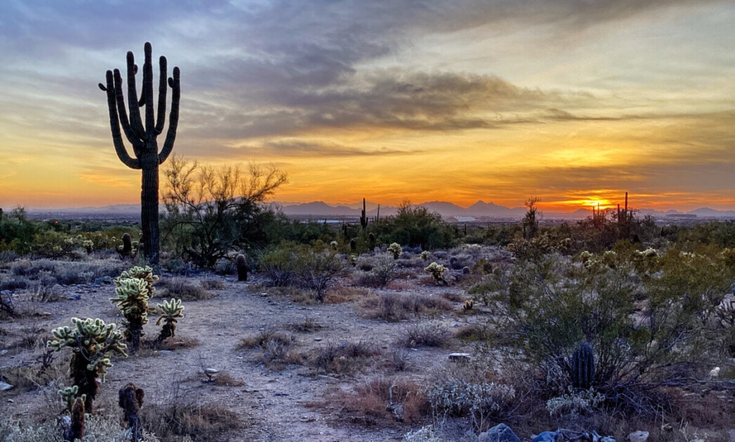 The Ultimate Guide to Buying a House in Arizona - Redfin