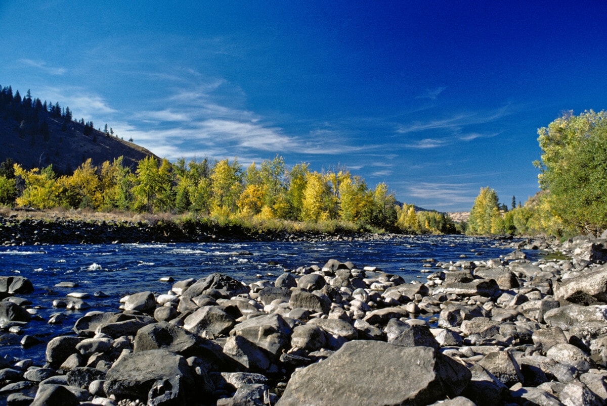Yakima river with trees and rocks_Getty