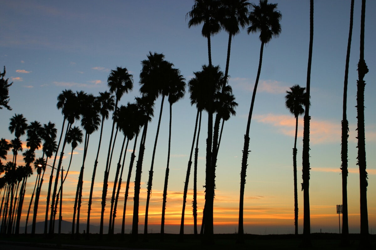Sunrise at Stearns Wharf, Santa Barbara