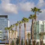 buildings and palm trees in irvine california