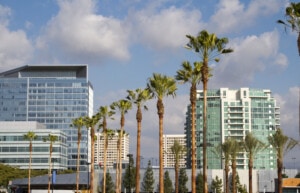 buildings and palm trees in irvine california