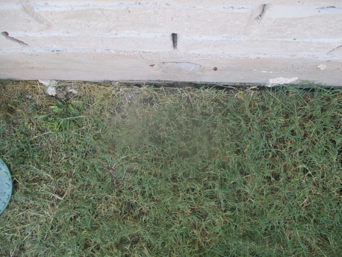 Dry soil and weather causing damage to house