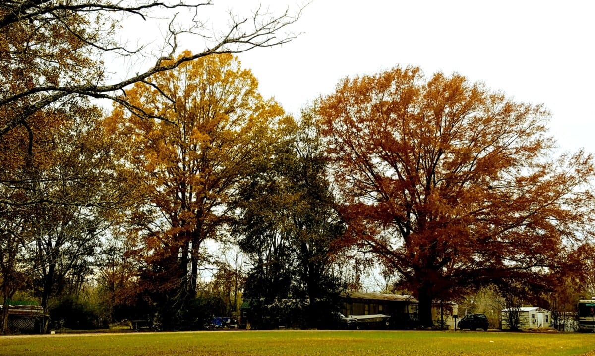 park in alabama with fall trees
