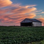 farmland in indiana with barn at sunset