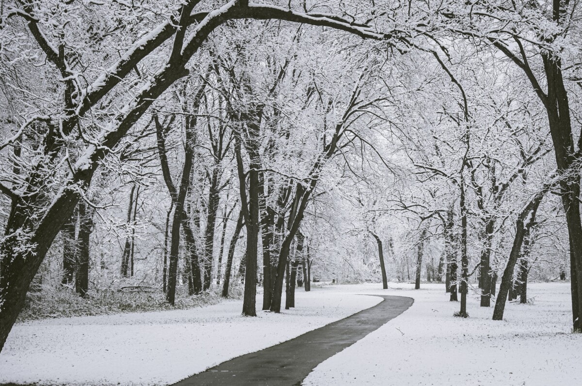 snowy park with trees and path in iowa