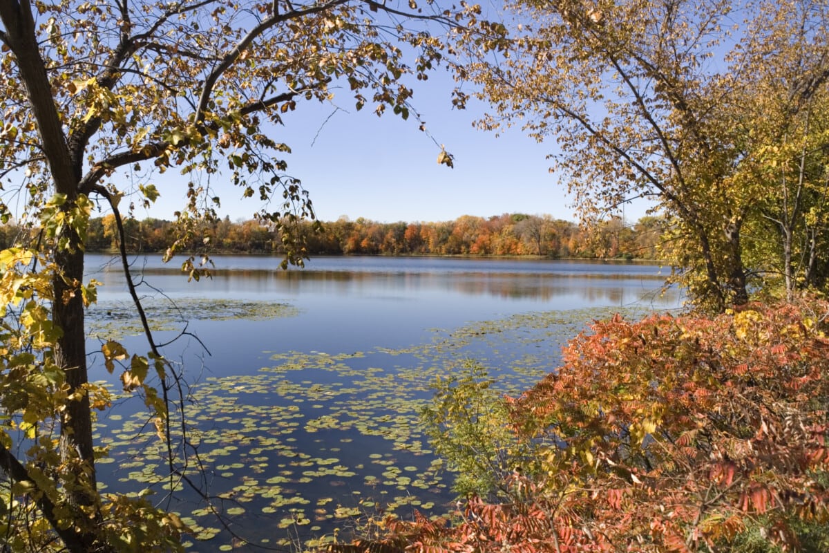 lake in minnesota with autumn leaves_Getty