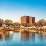 newark new jersey with cherry blossom trees