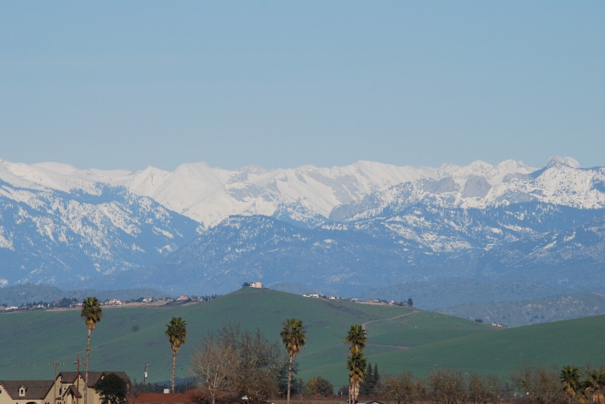 porterville california with mountains in the back, palm trees, and house tops