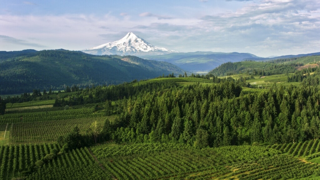 The 10 Best Places to Live in Oregon in 2024
